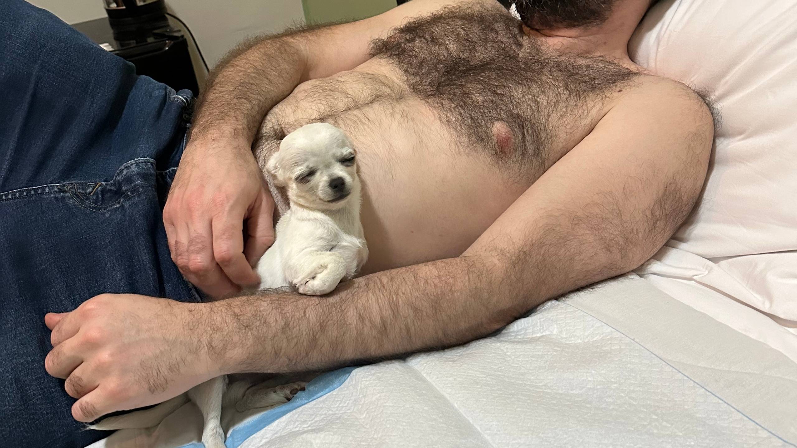 Pet Marketing Strategy