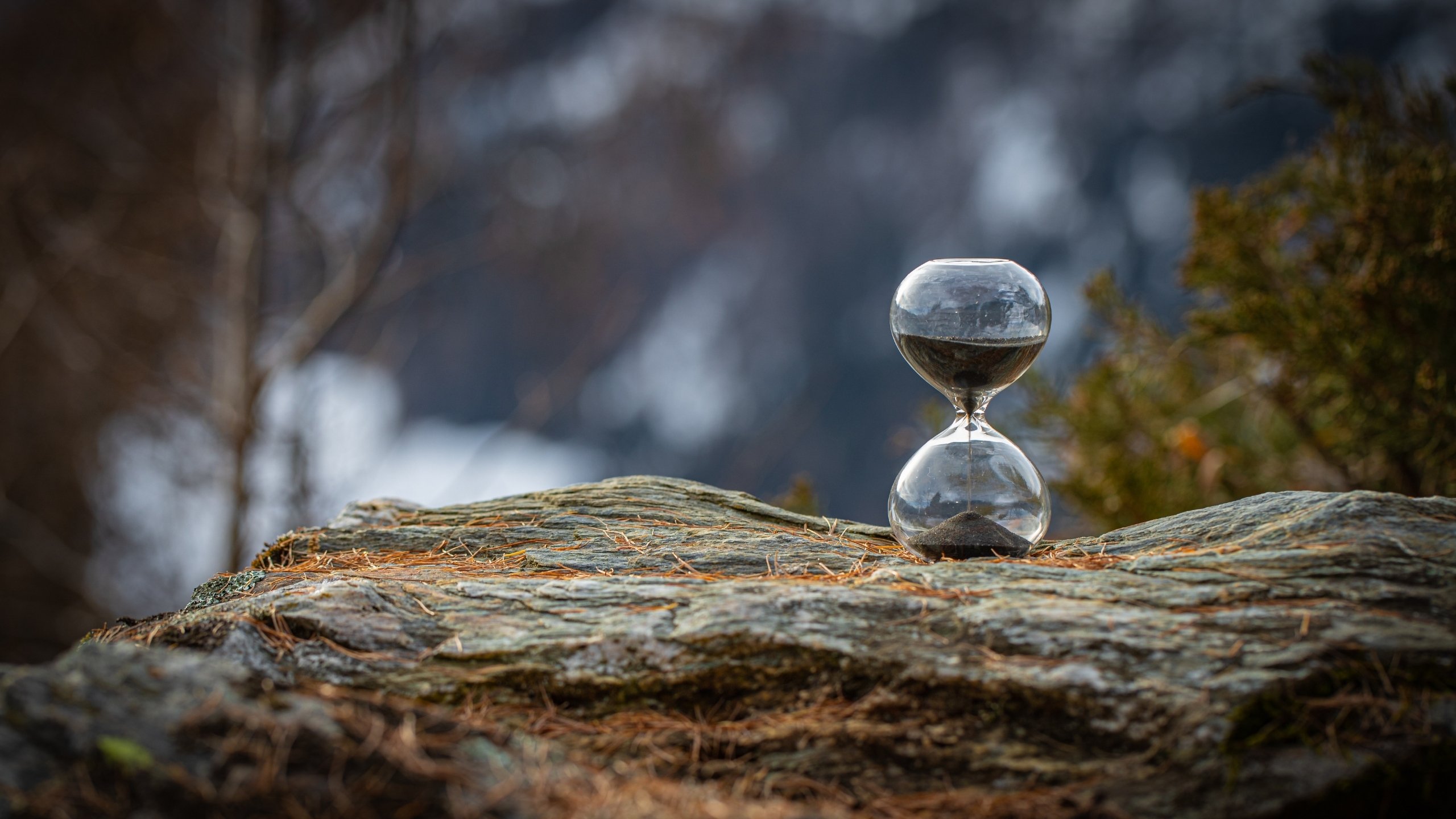 Best time to post social media chart showing optimal hours for 7 platforms in 2026