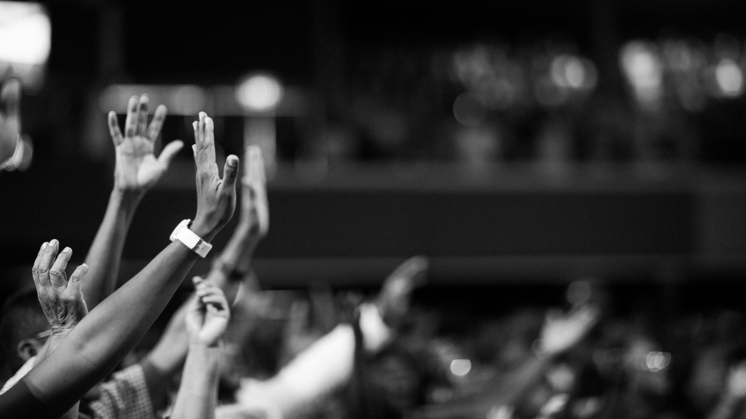 Audience overlap analysis diagram showing partnership audience intersection zones